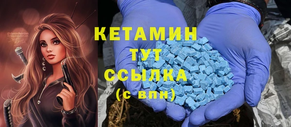 твердый Новозыбков