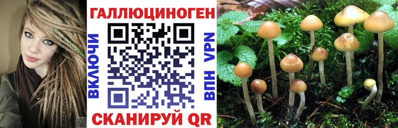 Псилоцибиновые грибы GOLDEN TEACHER  купить   Якутск 