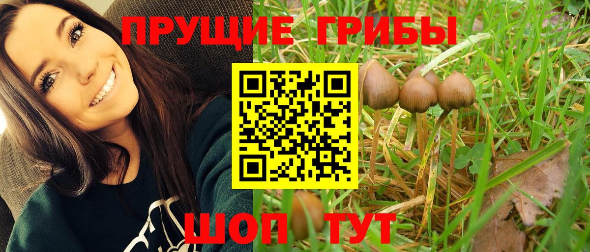 Якутск  Псилоцибиновые грибы Magic Shrooms  Вход с VPN  Псилоцибиновые грибы Psilocybine cubensis 